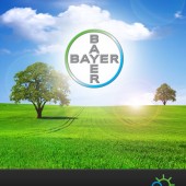 Bayer_inova_smart