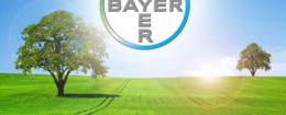 Bayer_inova_smart