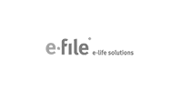 e-file